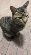 18024