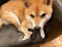 16125