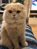 16128