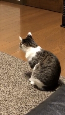 16282