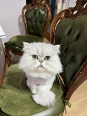 16289