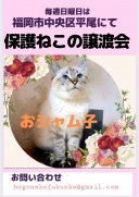 16505