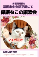 16507