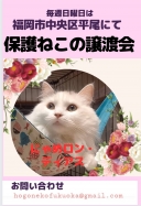 16508