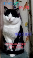 16616