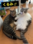 16710
