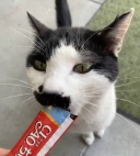 16726