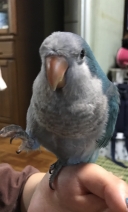 17491