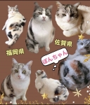 17524