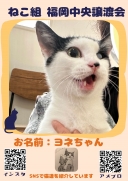 17604