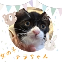 17616