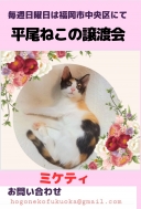 17636