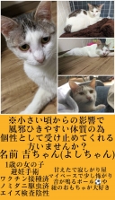 17702