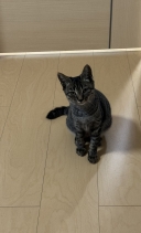 18029