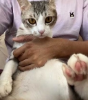 18282