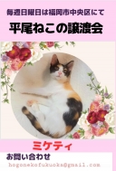 18329