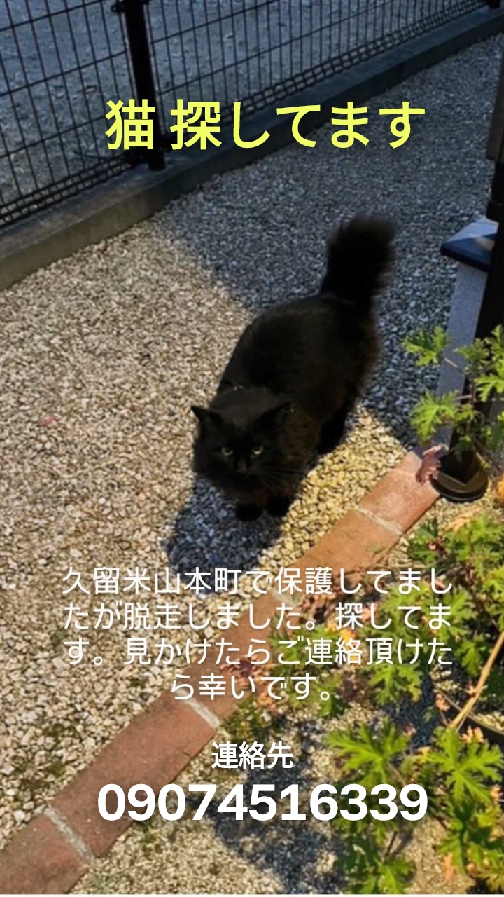 20813