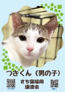 20950