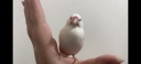 21124