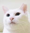 21148
