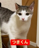 21154