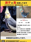 21158