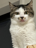 21170