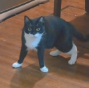 21299