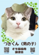 21324