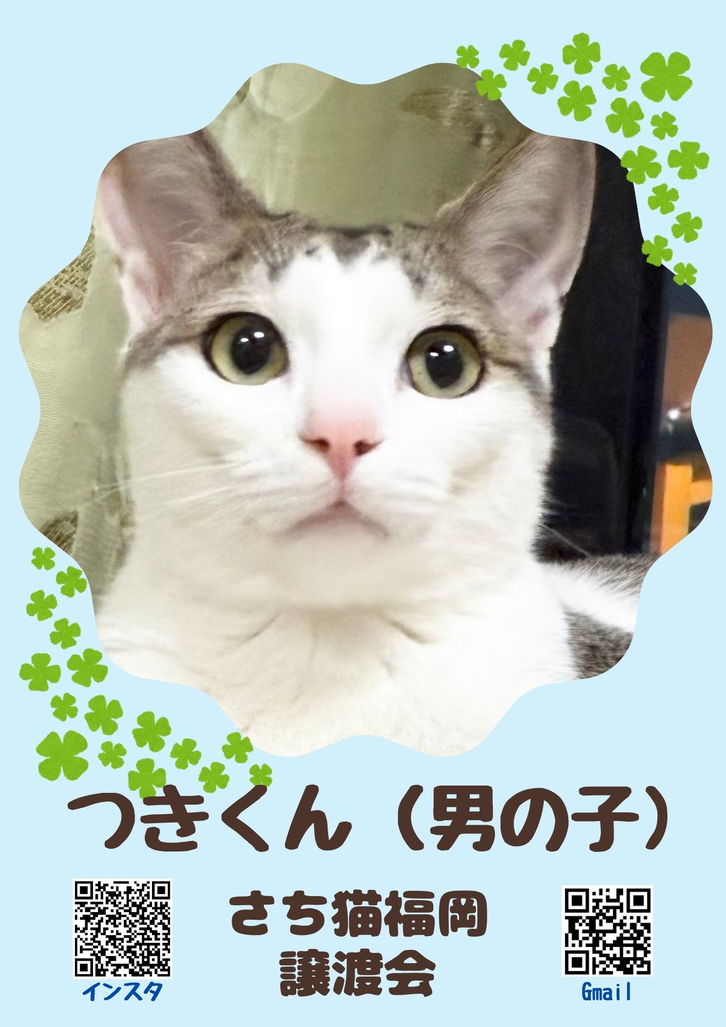 21324