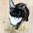 21335