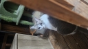 21651