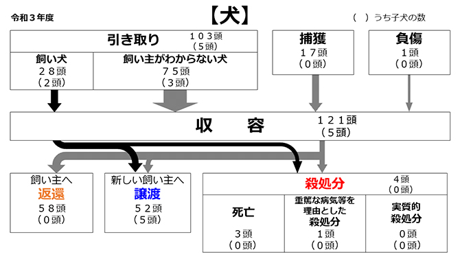 事業統計 わんにゃんよかネット 福岡市動物愛護管理センター