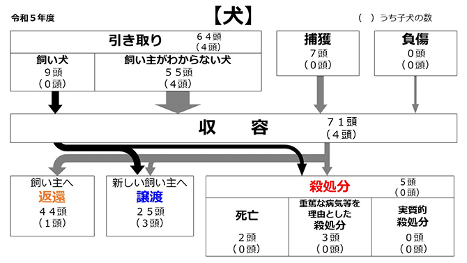 R4犬の収容状況