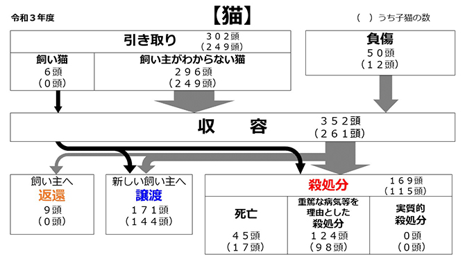 事業統計 わんにゃんよかネット 福岡市動物愛護管理センター
