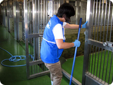 ボランティア活動・犬舎の清掃