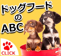 ドッグフードのABC