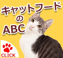 キャットフードのABC