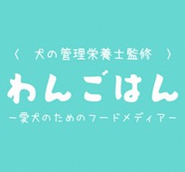 わんごはん