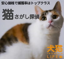 猫探し探偵