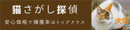 猫探し探偵