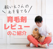 育毛剤