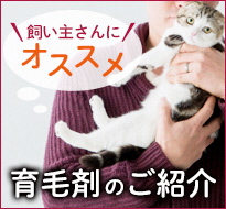飼い主さんにおすすめの育毛剤