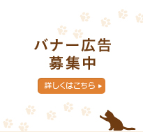 広告バナー募集中!