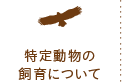 特定動物の飼育について