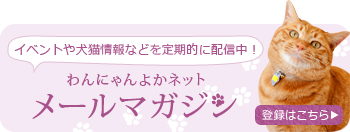 イベントや犬猫情報などを定期的に配信中！わんにゃんよかネットメールマガジン