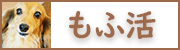 もふかつ