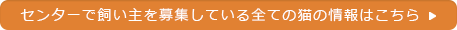 センターで飼い主を募集している全ての猫の情報はこちら