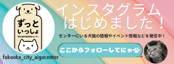 インスタグラムはじめました